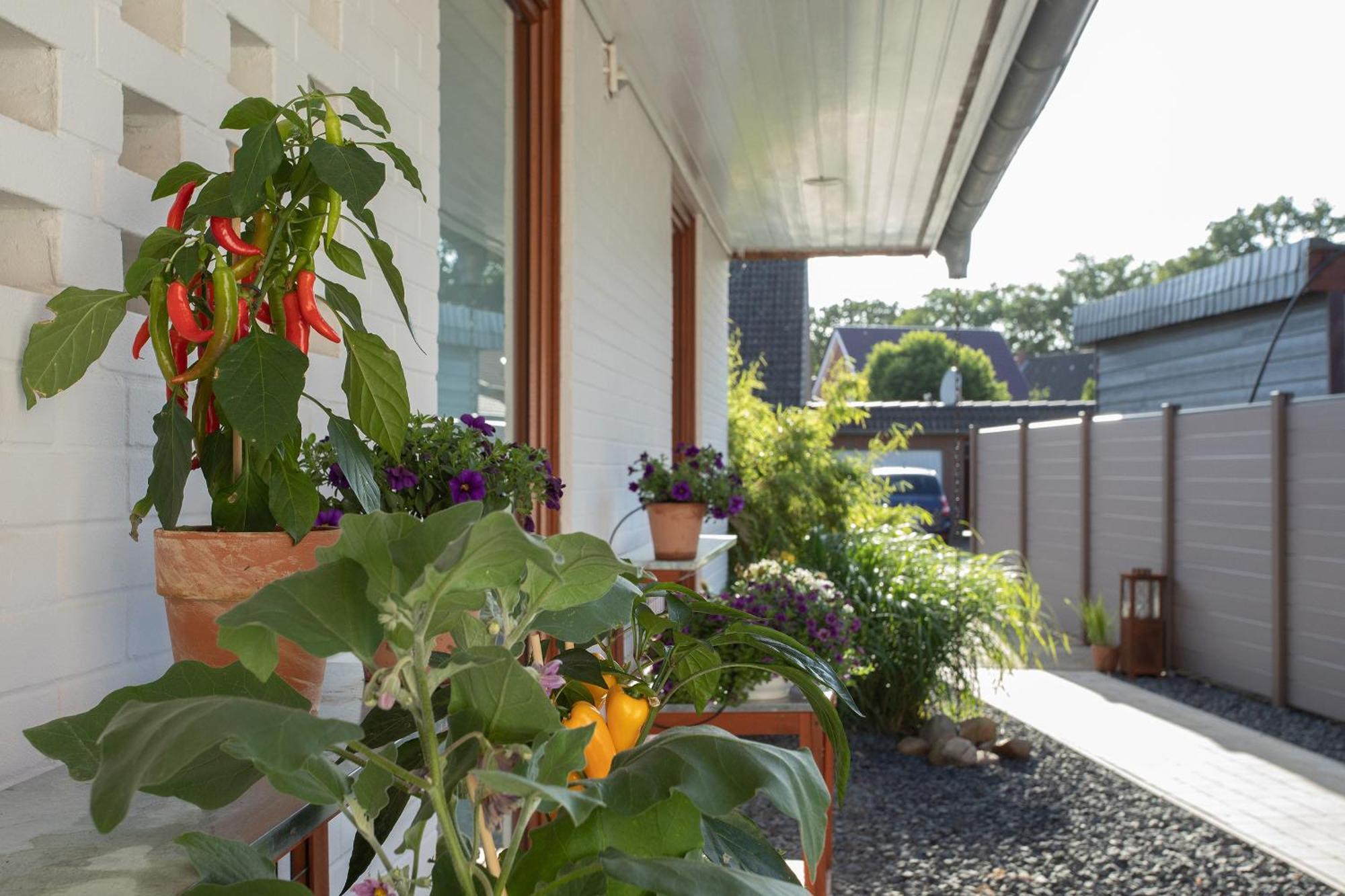 Ferienwohnung Aurora Winsen  Esterno foto